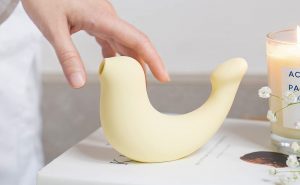 網紅情趣用品大人糖小海豹逗豆鳥開箱測評