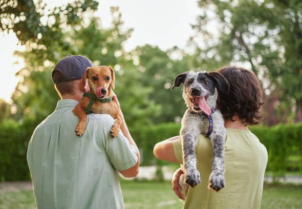 istockphoto-1516239450-612x612