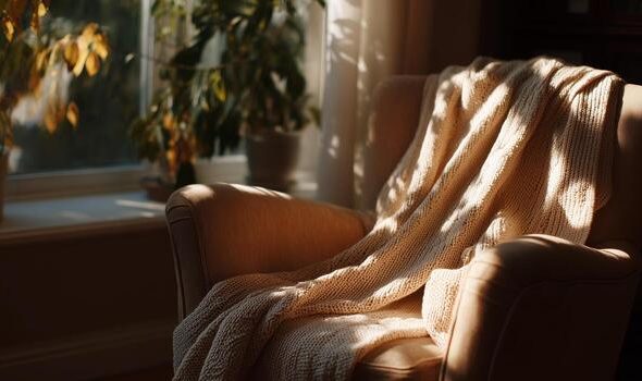 cozy-armchair-draped-with-a-warm-blanket-in-a-sunlit-room-surrounded-by-plants-photo